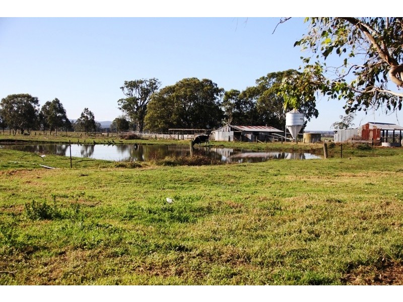 203 Back Valencia Creek Road, Boisdale VIC 3860