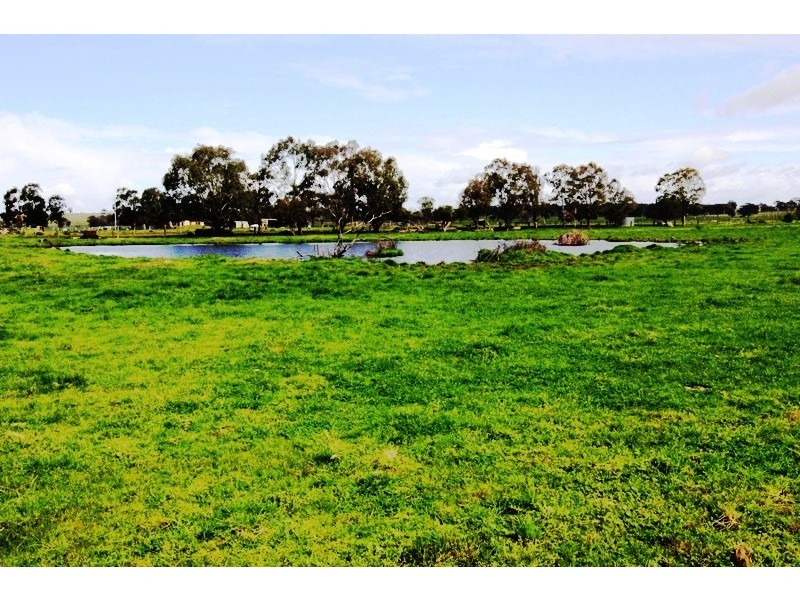 203 Back Valencia Creek Road, Boisdale VIC 3860