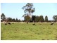 203 Back Valencia Creek Road, Boisdale VIC 3860