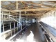 362 Nambrok Hall Road, Nambrok VIC 3847