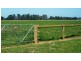 362 Nambrok Hall Road, Nambrok VIC 3847