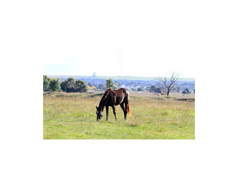 238 Willung Road, Rosedale VIC 3847