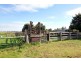 238 Willung Road, Rosedale VIC 3847