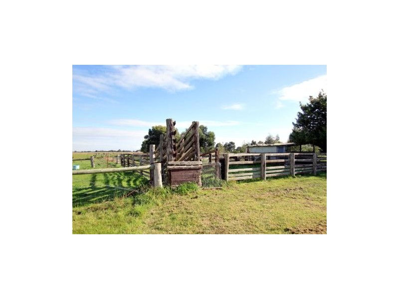 238 Willung Road, Rosedale VIC 3847