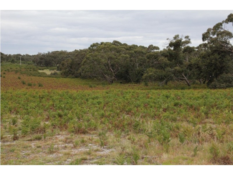 891 Hawkins Road, Longford VIC 3851