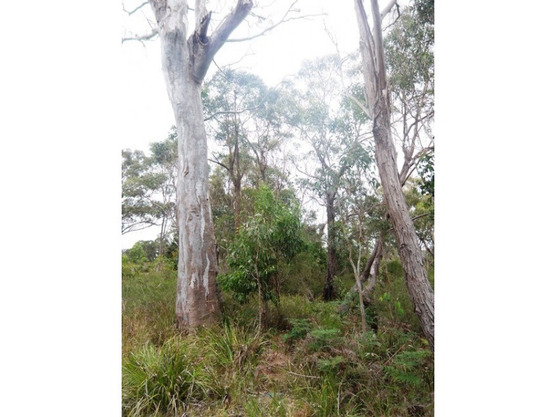 3030 Princes Highway, Fernbank VIC 3864