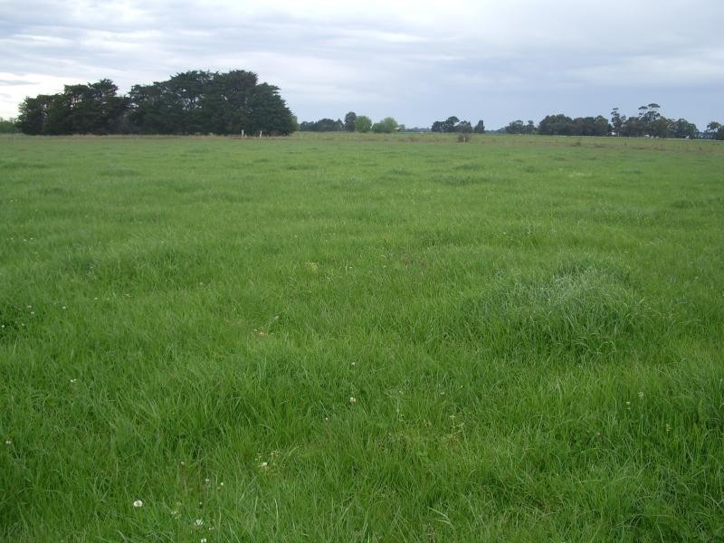 - Nambrok Road, Nambrok VIC 3847