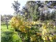 Glenmaggie VIC 3858