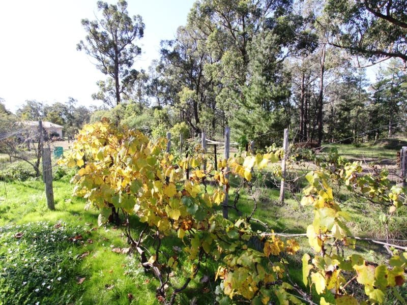 Glenmaggie VIC 3858