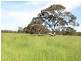 745 Lower Cairnbrook Road, Glengarry VIC 3854