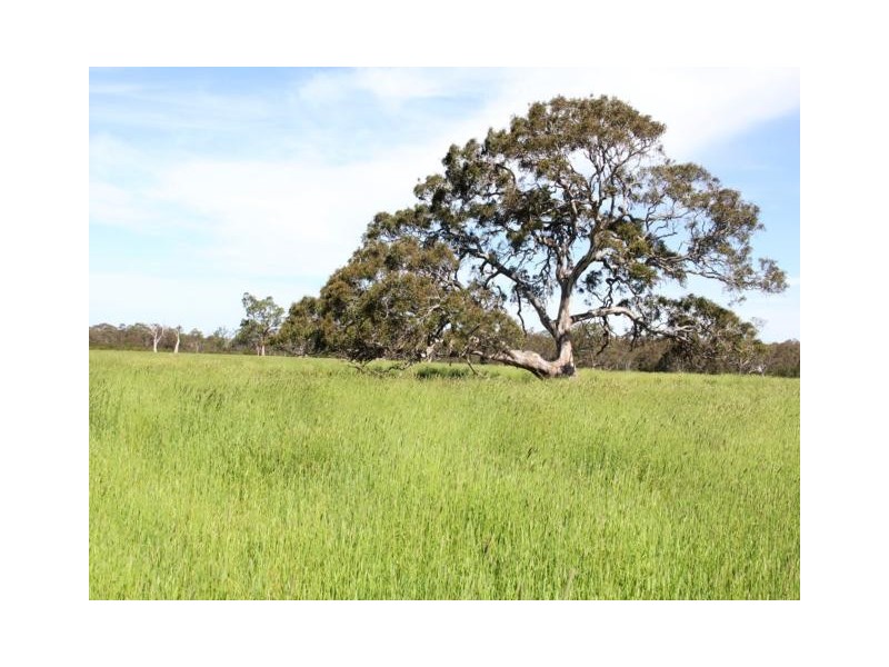 745 Lower Cairnbrook Road, Glengarry VIC 3854