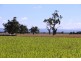 745 Lower Cairnbrook Road, Glengarry VIC 3854