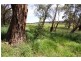 CA 11 Mertonvale Rd cnr Taylors Rd, Willung VIC 3847