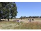 CA 11 Mertonvale Rd cnr Taylors Rd, Willung VIC 3847