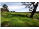CA 11 Mertonvale Rd cnr Taylors Rd, Willung VIC 3847