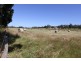 CA 11 Mertonvale Rd cnr Taylors Rd, Willung VIC 3847