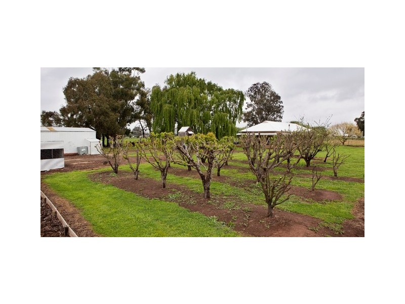 376 Tinamba Newry Road, Newry VIC 3859