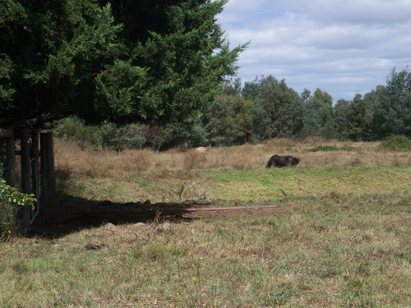 3846 Traralgon-Maffra Road, Heyfield VIC 3858