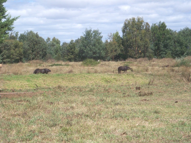 3846 Traralgon-Maffra Road, Heyfield VIC 3858