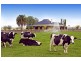 62 Maffra-Sale Road, Maffra VIC 3860