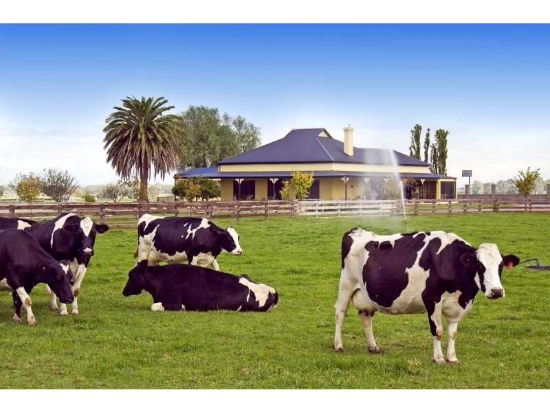 62 Maffra-Sale Road, Maffra VIC 3860