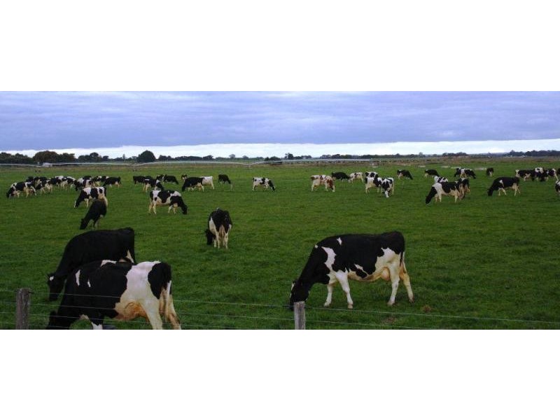 62 Maffra-Sale Road, Maffra VIC 3860