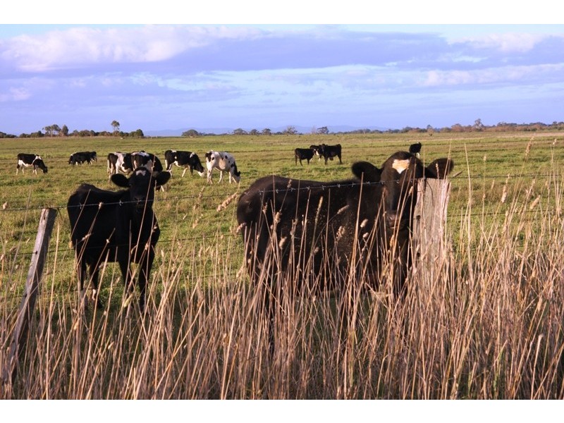 Lot 2 353 Sale-Heyfield Road, Fulham VIC 3851