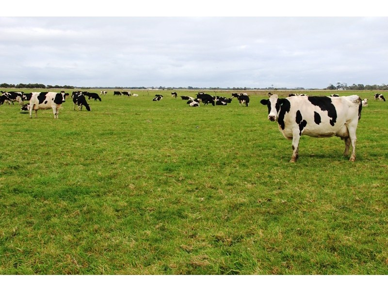 Lot 2 171 Browns Road, Fulham VIC 3851