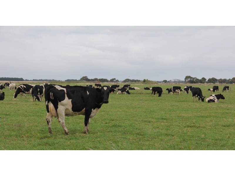 Lot 2 171 Browns Road, Fulham VIC 3851