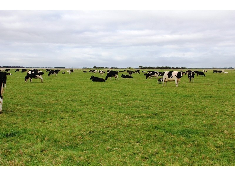 Lot 2 171 Browns Road, Fulham VIC 3851