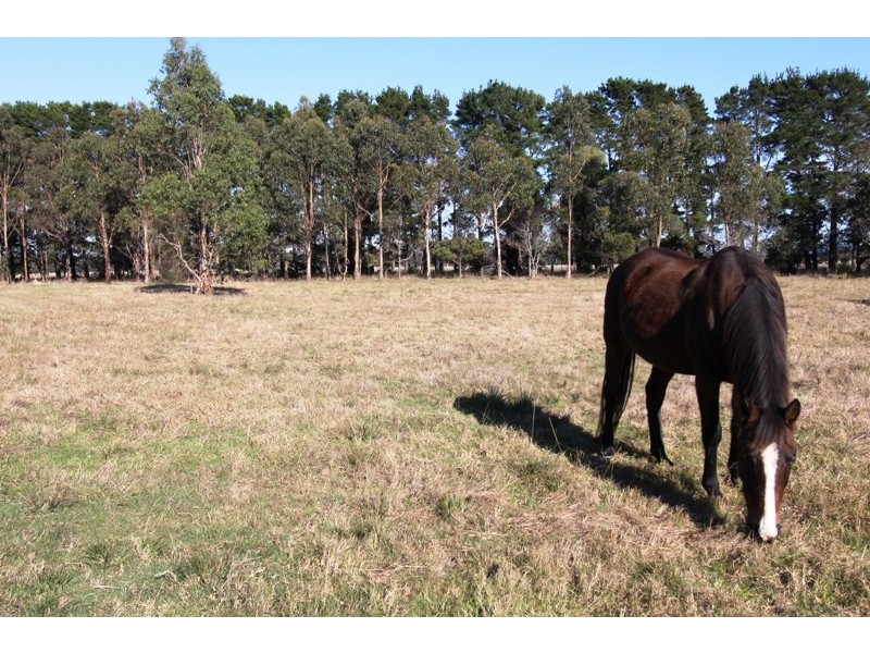 153 Seaspray/Stradbroke Road, Stradbroke VIC 3851