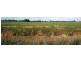 - Blandfords Lane, Stratford VIC 3862