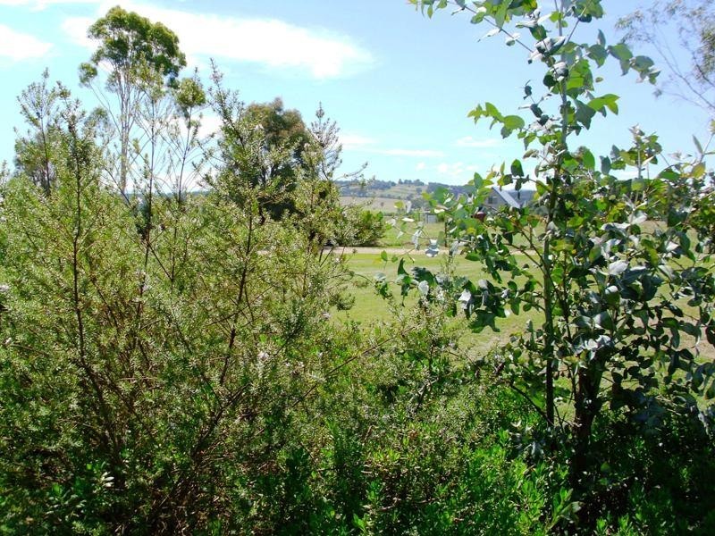 157 Dargo Road, Briagolong VIC 3860