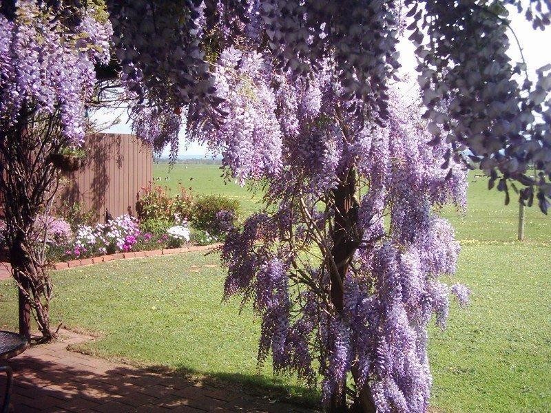 157 Dargo Road, Briagolong VIC 3860