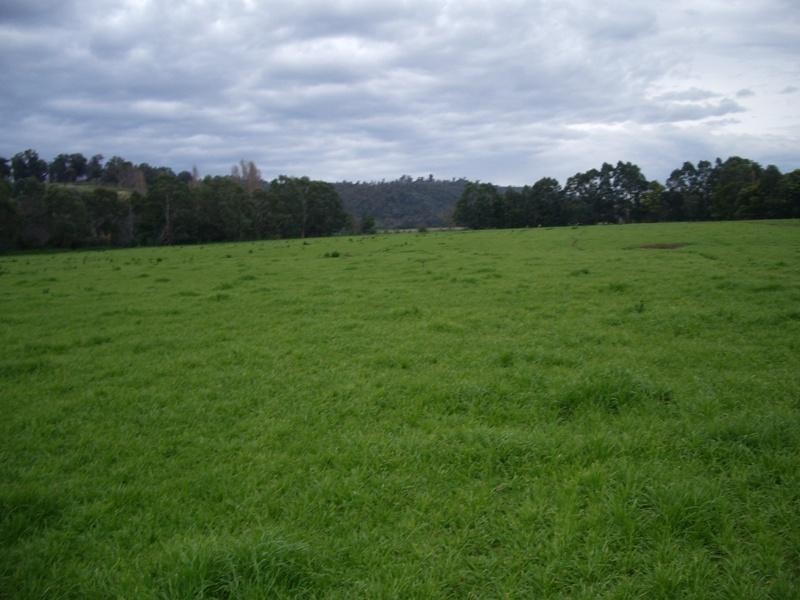 - Morgans Road, Cowwarr VIC 3857