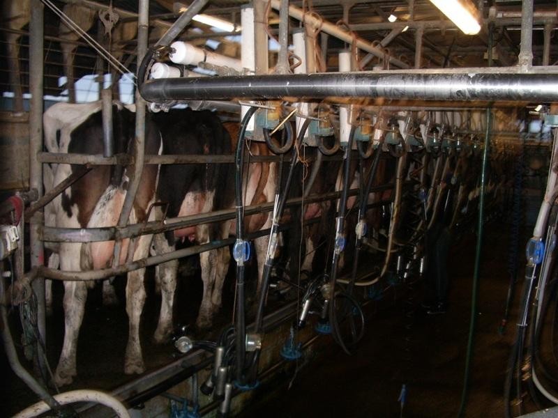 - Morgans Road, Cowwarr VIC 3857