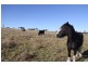 569 Lot 2 Tinamba/Seaton  Road, Tinamba VIC 3859