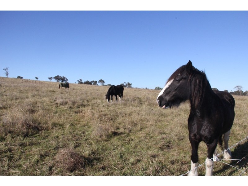 569 Lot 2 Tinamba/Seaton  Road, Tinamba VIC 3859