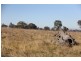 569 Lot 2 Tinamba/Seaton  Road, Tinamba VIC 3859