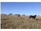 569 Lot 2 Tinamba/Seaton  Road, Tinamba VIC 3859