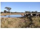 569 Lot 2 Tinamba/Seaton  Road, Tinamba VIC 3859