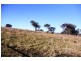569 Lot 2 Tinamba/Seaton  Road, Tinamba VIC 3859