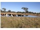 569 Lot 2 Tinamba/Seaton  Road, Tinamba VIC 3859