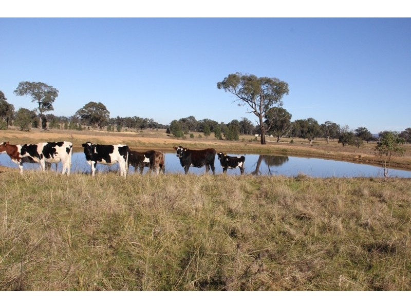 569 Lot 2 Tinamba/Seaton  Road, Tinamba VIC 3859