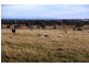 569 Lot 2 Tinamba/Seaton  Road, Tinamba VIC 3859