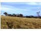 569 Lot 2 Tinamba/Seaton  Road, Tinamba VIC 3859