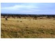569 Lot 2 Tinamba/Seaton  Road, Tinamba VIC 3859