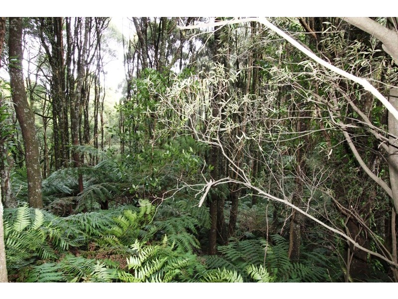 1661 Bulga Park Road, Balook VIC 3971