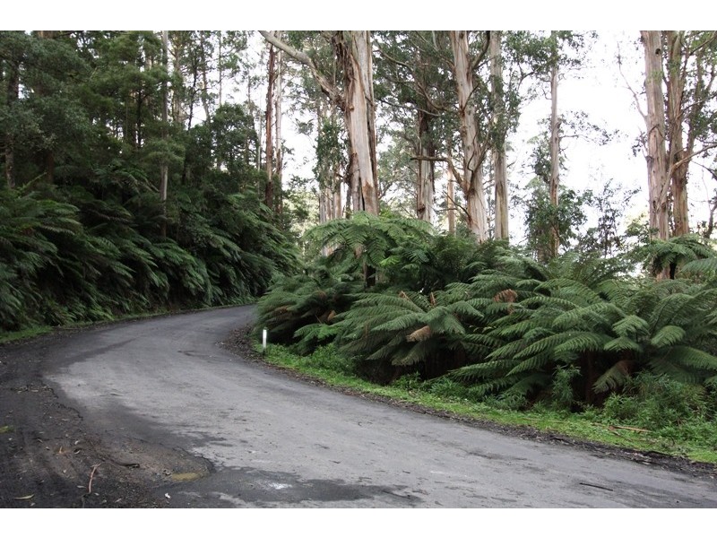 1661 Bulga Park Road, Balook VIC 3971