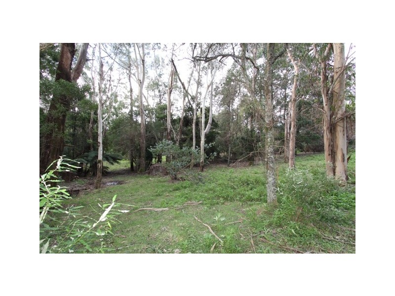 1661 Bulga Park Road, Balook VIC 3971